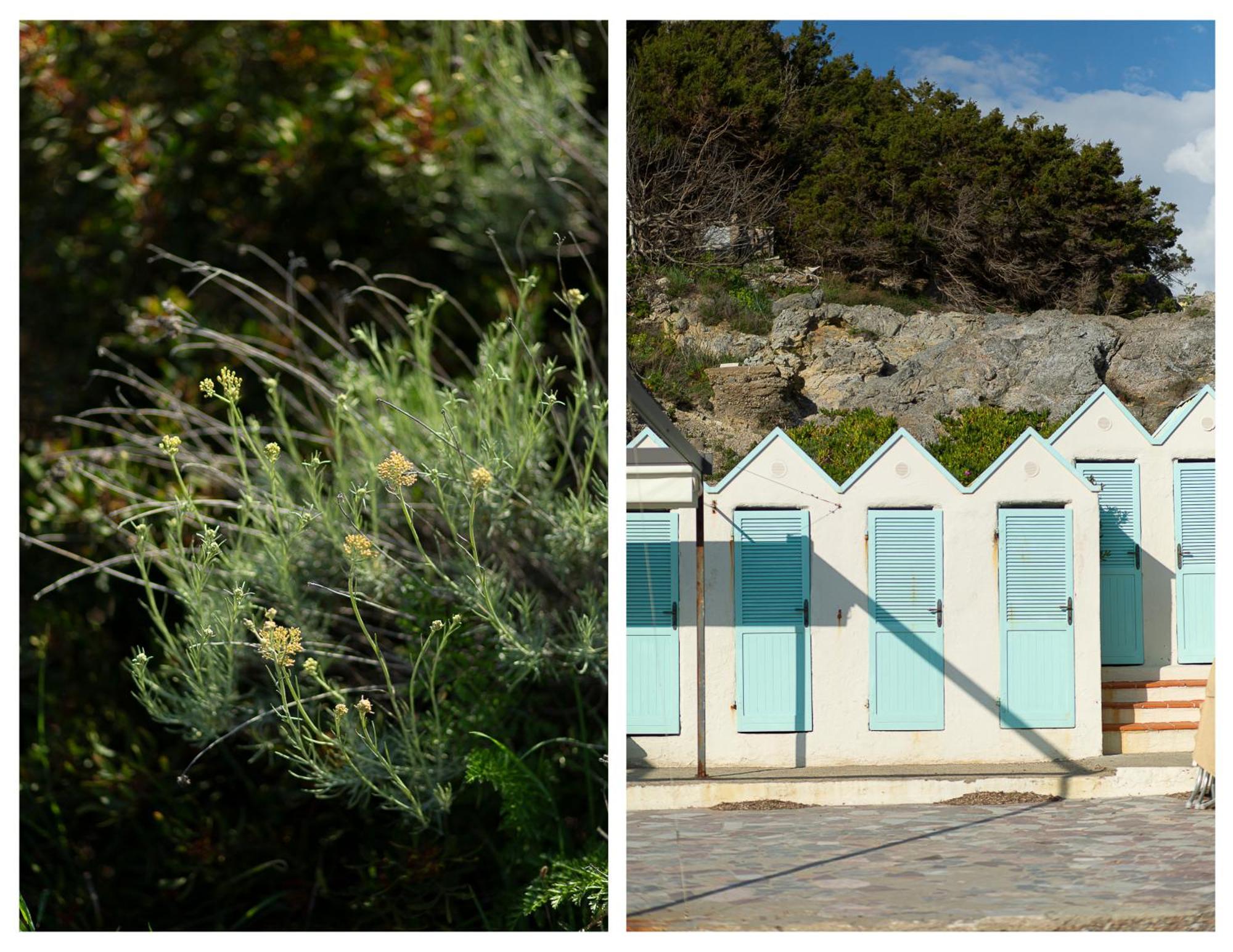 La Casa Di Marco, Holidays, Sea And Nature Montiano  Exterior foto